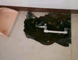 梧州市卫生间测漏水多少钱